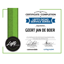 Lefty Ocho 100 uur service